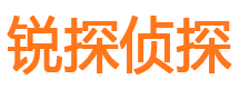 龙游侦探公司